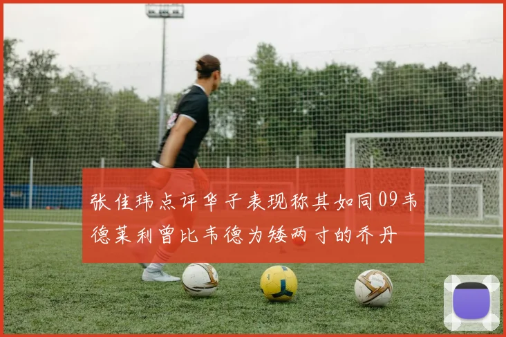 张佳玮点评华子表现称其如同09韦德莱利曾比韦德为矮两寸的乔丹